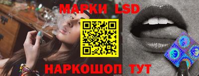 гидропоника Тверь
