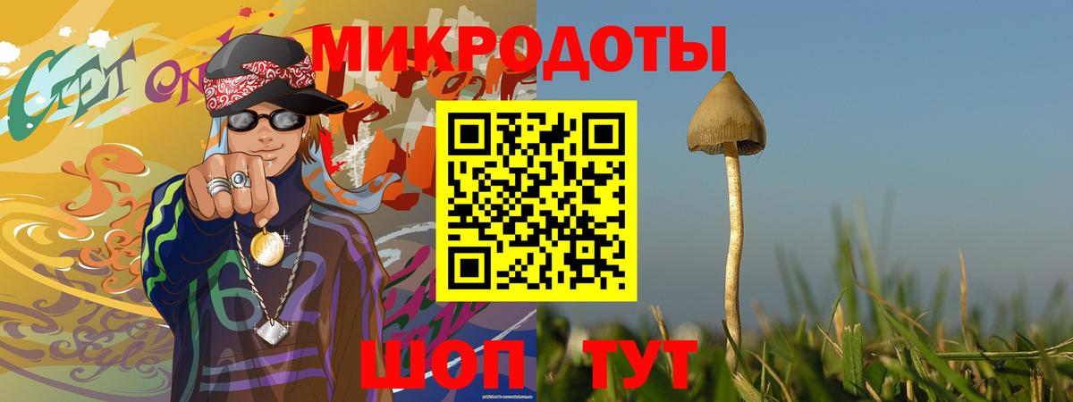 купить наркоту  Вход с VPN  Белгород  Псилоцибиновые грибы Psilocybe 