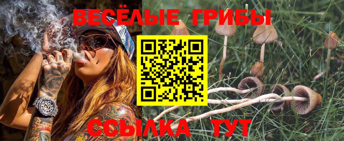 Галлюциногенные грибы Magic Shrooms Белгород